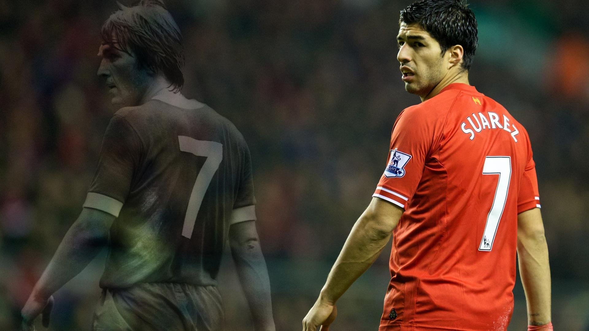 赛场“铁血防线”，最坚固的后防组合揭秘，铁血防御怎么玩